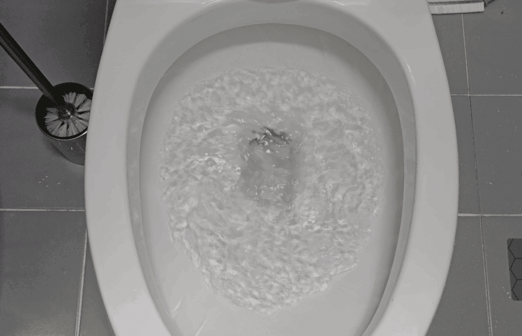 청소 후 물 내리기