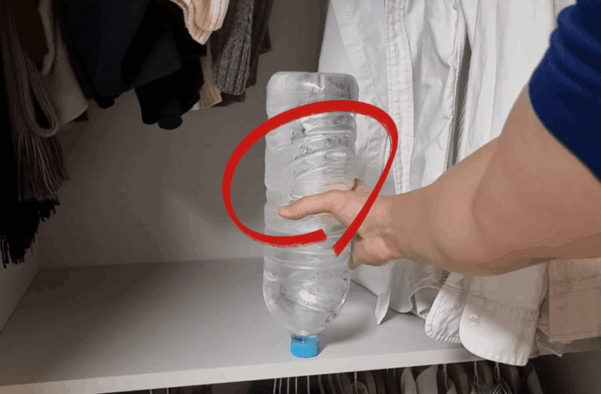 페트병을 활용한 습기제거