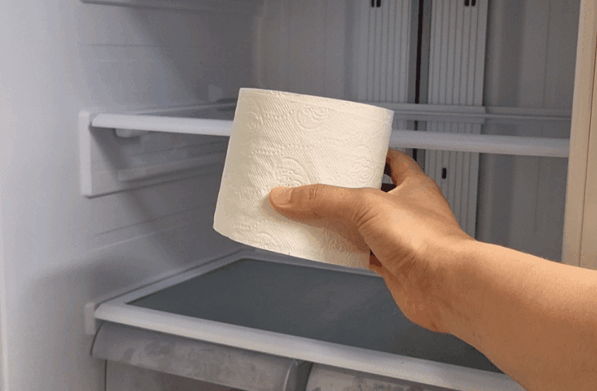 냉장고 냄새 제거