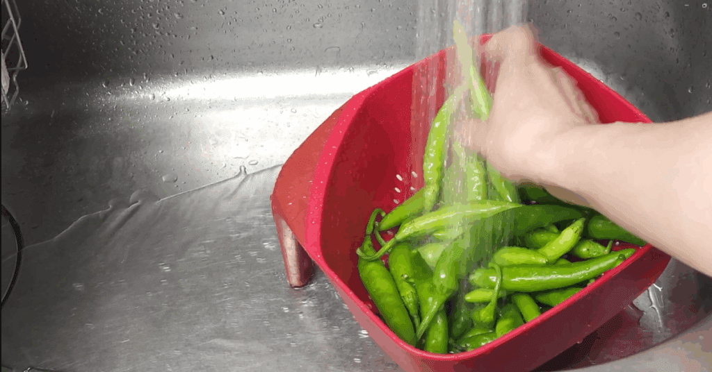 간단한 레시피/반찬 레시피 : 고추 씻는 장면