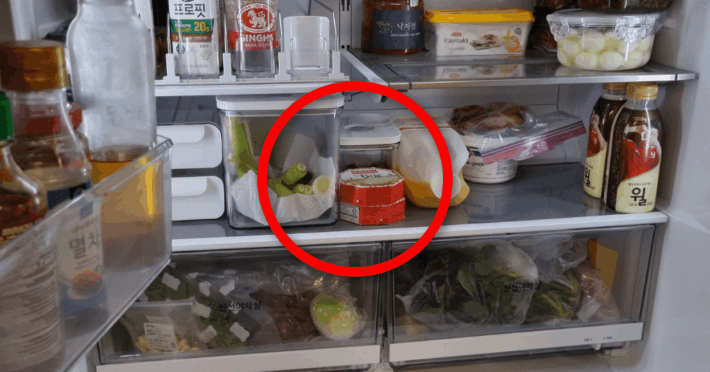 냉장고 보관