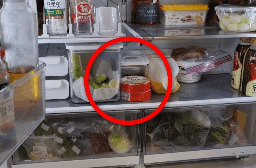 냉장고 보관