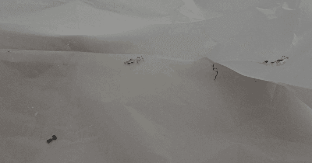 선풍기 청소, 이제 분해하지 마세요. 베이킹소다와 분무기만 있으면 선풍기 날개 먼지까지 깔끔하게 청소할 수 있습니다. 간편한 선풍기 청소 방법 지금 확인해보세요.