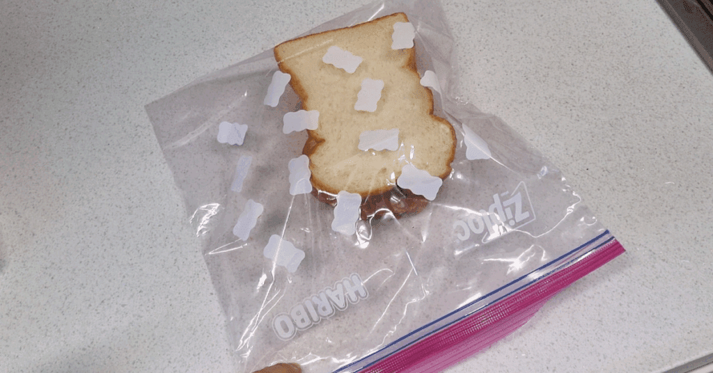 빵 냉장고 보관