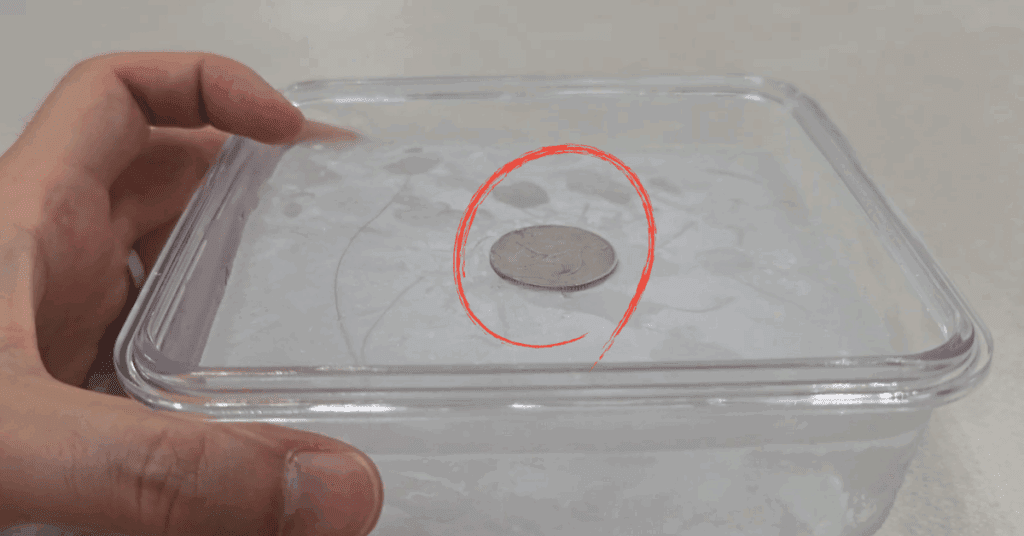 한 번 알아두면 평생 써먹는 살림 정보! 두번째 꿀팁 2번 (재활용부터, 세탁, 청소 꿀팁)