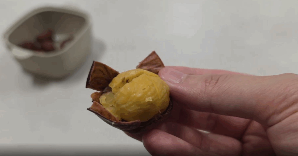 집에서 간단하게 할 수 있는 레시피와 요리법 6가지! 두번째 (2)