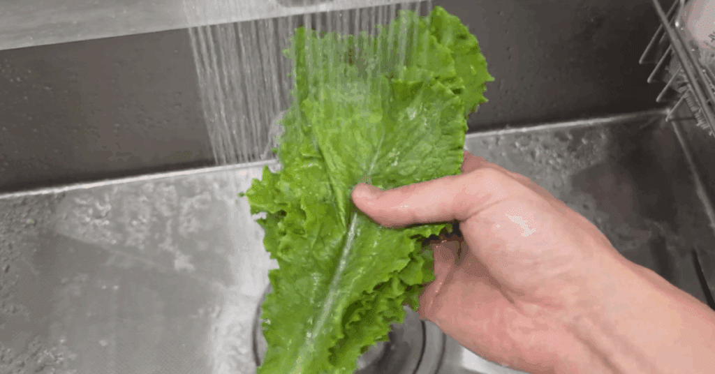 집에서 간단하게 할 수 있는 레시피와 요리법 6가지! 여섯번째 (2)