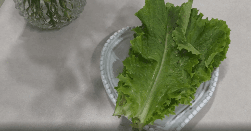 집에서 간단하게 할 수 있는 레시피와 요리법 6가지! 여섯번째 (3)