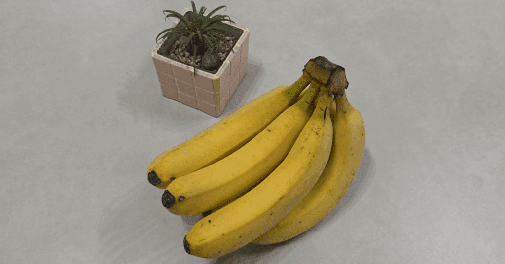 천재들은 이미 하고 있었다는 바나나 보관법 3가지! 바나나 갈변 막는 꿀팁입니다. 2