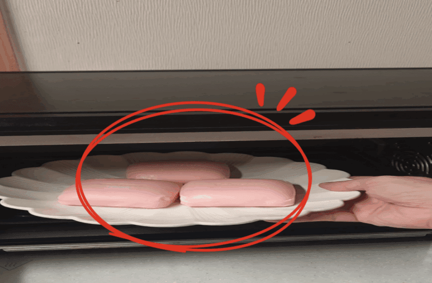 이제부터 비누는 전자레인지에 돌려서 써야합니다. 비누를 활용한 생활꿀팁 공개! 3