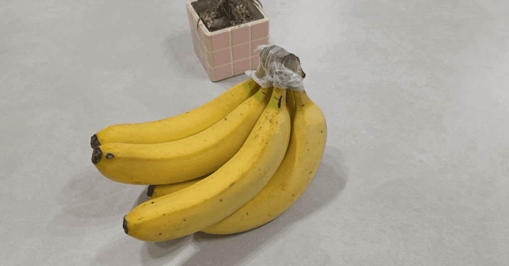 바나나 보관법 핵심 3가지로 갈변을 늦추는 방법을 소개합니다. 바나나 오래 보관, 바나나 보관 방법, 바나나 실온보관·바나나 냉장 보관 팁까지 한 번에 정리!