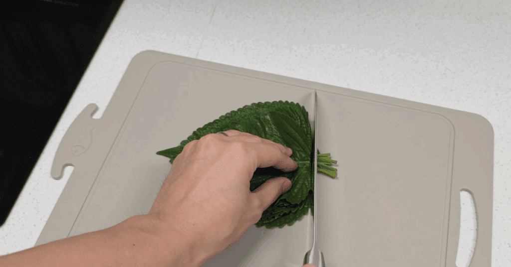 제대로된 깻잎 보관법 : 보관법