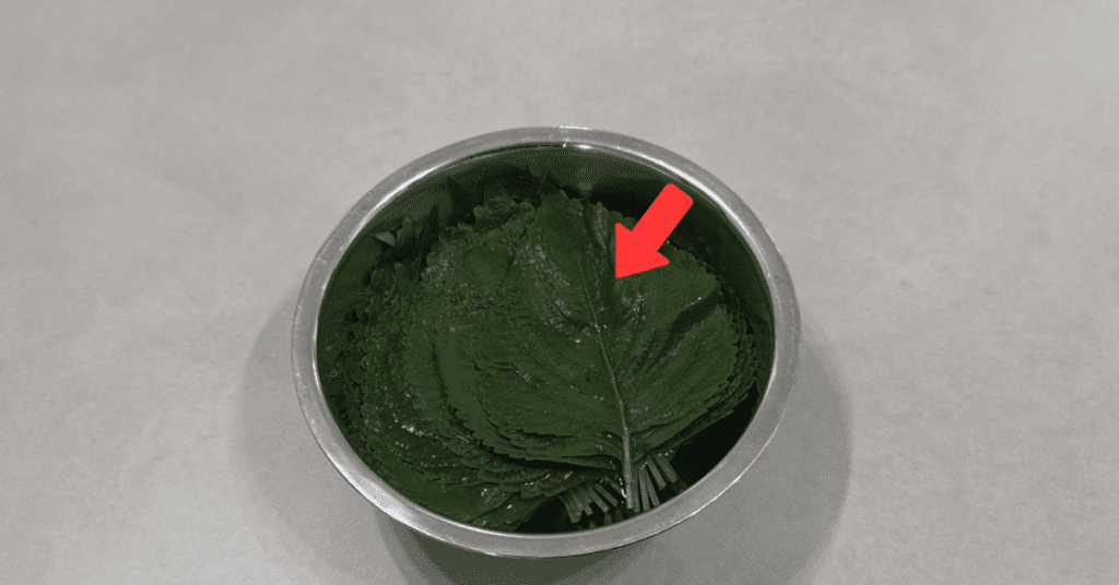 제대로된 깻잎 보관법