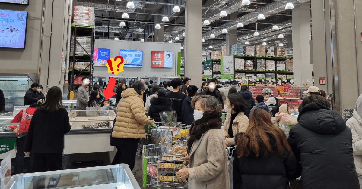 트레이더스 연말 추천템