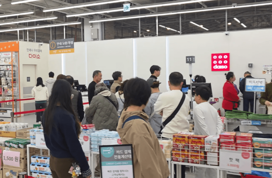 다이소 추천템 5가지 몰아보기! 품절대란에 사재기 금지령까지 떨어졌습니다. 6