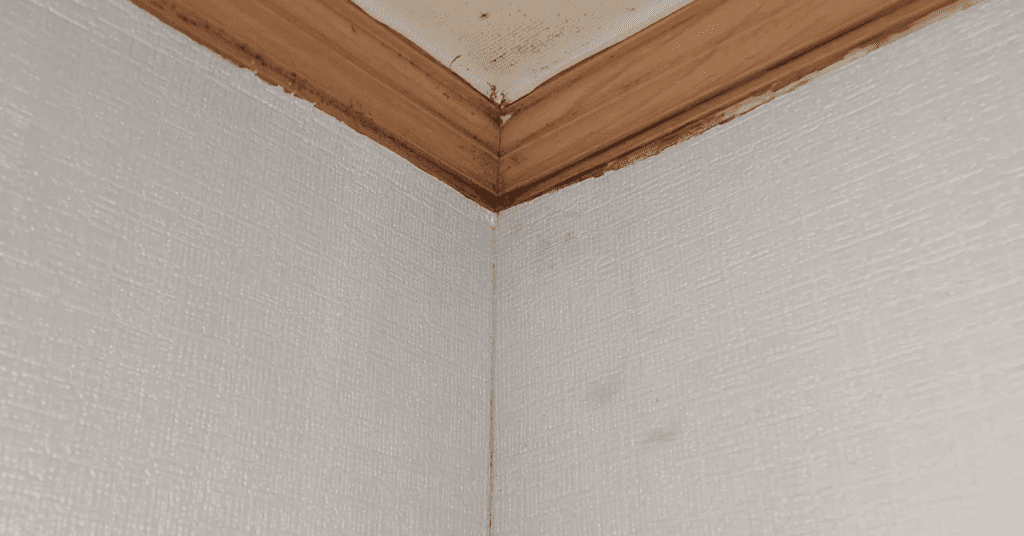 잘못된 가습기 사용법이 호흡기 건강을 망칠 수 있습니다. 수돗물 사용 이유와 올바른 가습기 위치 선정 그리고 세균 걱정 없는 가습기 관리 및 가습기 세척 방법을 확인해 보세요. 살림 고수들이 전하는 가습기 청소 필수 살림 꿀 팁 3가지를 지금 공개합니다.