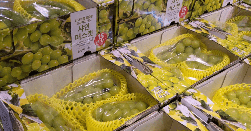 홈플러스 세일 기간 꼭 사야 할 홈플러스 추천 상품 10가지를 소개합니다. 샐러드 치킨 샤인머스캣 등 가성비 넘치는 홈플러스 추천 제품 정보와 가격을 확인하고 알뜰한 쇼핑 리스트를 만들어보세요. 마진 0원에 가까운 홈플러스 추천 아이템으로 식비를 절약할 수 있습니다.