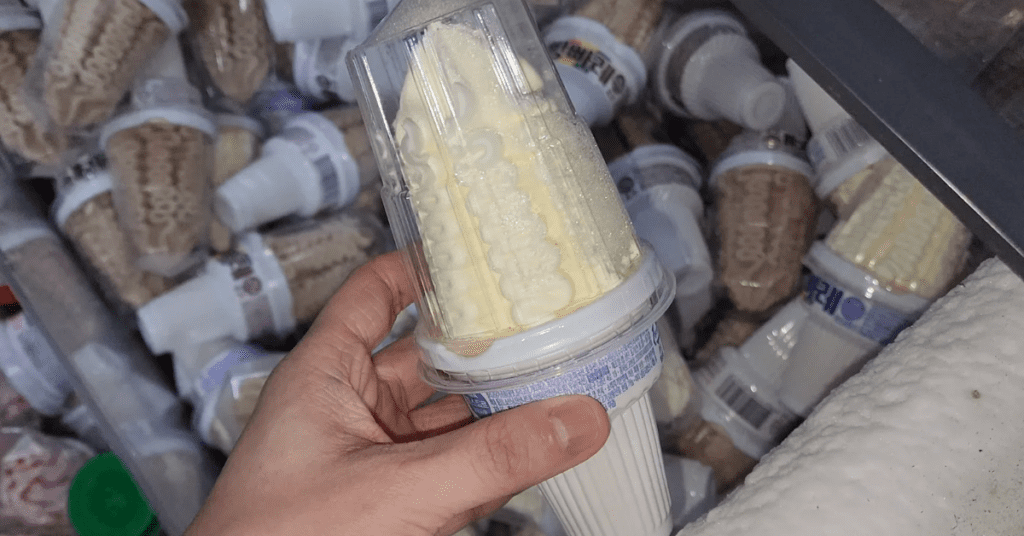 편의점 아이스크림 빵빠레