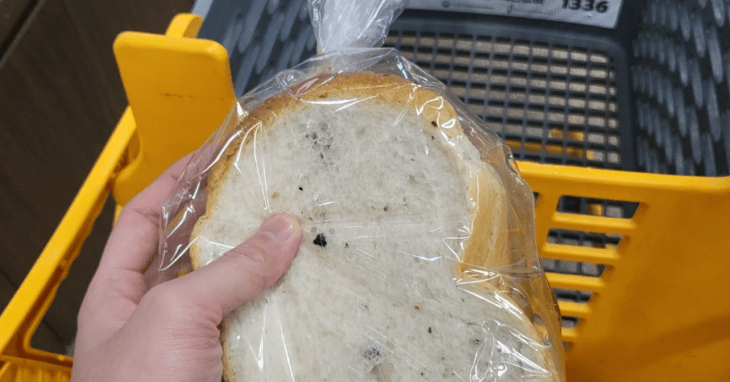 이마트 베이커리 빵지순례 필수! 맛이 확 달라진 이마트 추천 꿀템 BEST 6 7