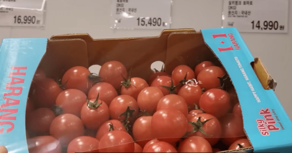 코스트코 음식 실키핑크 토마토