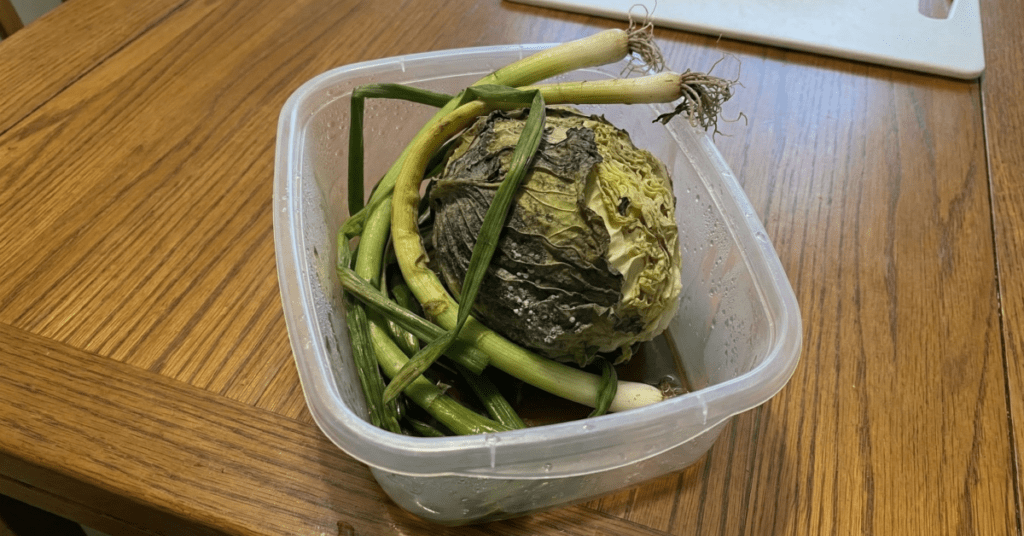 반찬통 식재료 보관