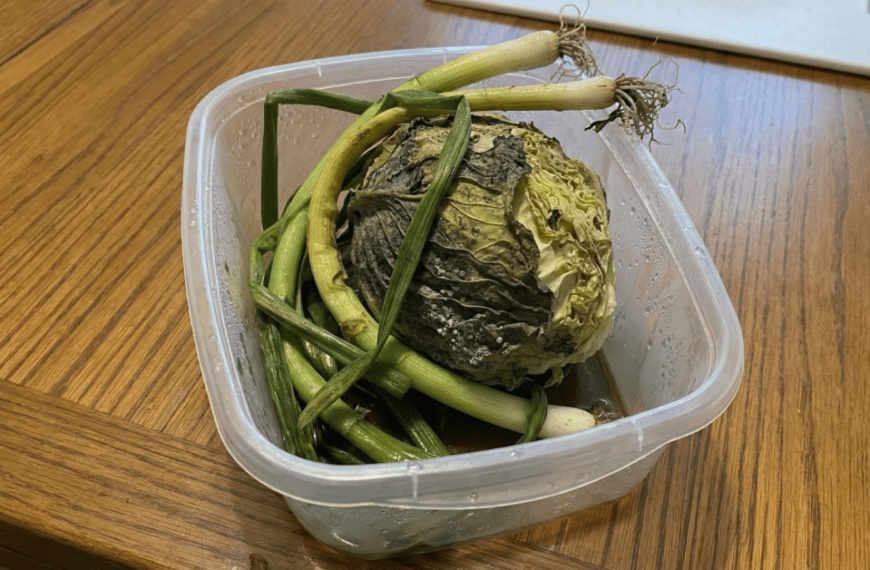 반찬통 식재료 보관